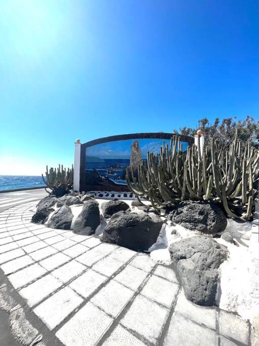 Casa A 50 Metros De La Playa. Supreme Pedro El Socorro Exterior foto